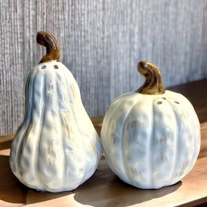 Halloween Thanksgiving Ivory Wash Pumpkin & Gourd Salt & Pepper Shakers